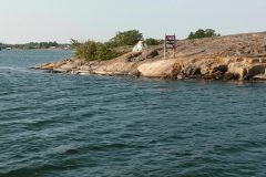 20220701_191857-scaled