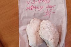 20220707_090738-scaled