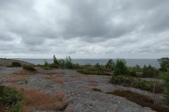 20220707_104014-scaled