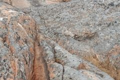 20220707_145923-scaled