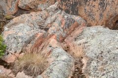 20220707_145927-scaled