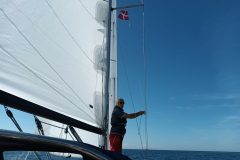 20220810_102044-scaled