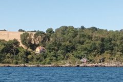 20220812_101326-scaled