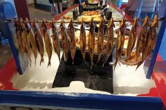 20220812_131010-scaled