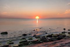 20220813_202528-scaled