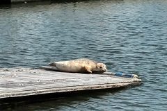 20220904_140737-scaled