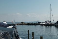 20220826_121751-scaled