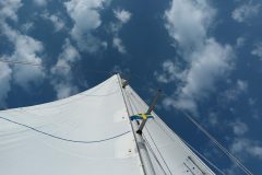 20220818_100006-scaled