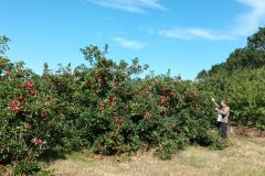 20220830_153337-scaled