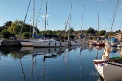 20220830_172901-scaled