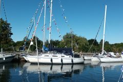 20220831_105839-scaled