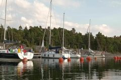 20220627_202515-scaled