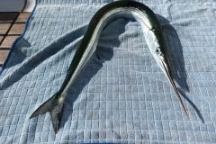 20220508_173515-scaled