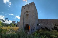 20220730_134334-scaled