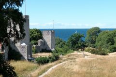 20220730_134715-scaled