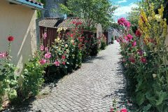 20220730_135535-scaled