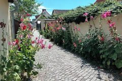 20220730_135541-scaled