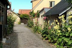 20220730_140231-scaled