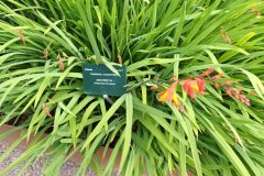 20220731_143345-scaled