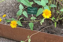 20220731_143527-scaled