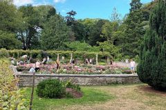 20220731_150358-scaled