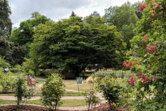 20220731_150848-scaled