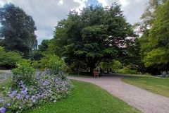 20220731_151101-scaled