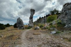 20220801_143911-scaled