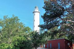 20220804_095222-scaled