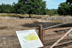 20220804_132649-scaled