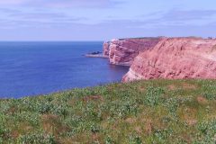 20220428_141155-scaled