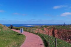 20220428_145418-scaled