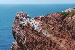 20220428_145521-scaled