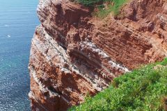 20220428_150138-scaled