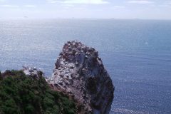 20220428_150156-scaled