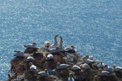 20220428_150354-scaled