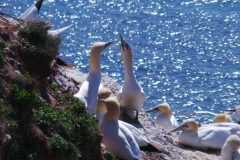 20220428_150427-scaled