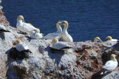 20220428_150702-scaled