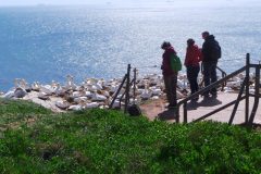 20220428_150849-scaled