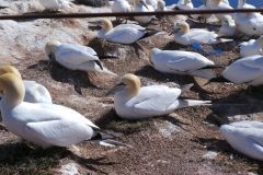 20220428_151240-scaled