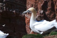 20220428_151415-scaled