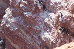 20220428_152755-scaled