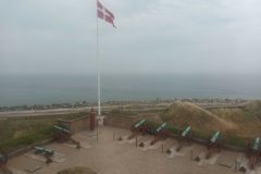 20220819_135728-scaled