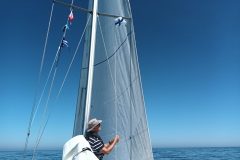 20220624_130135-scaled