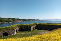 20220626_160122-scaled