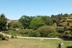 20220823_151041-scaled