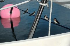 20220808_162109-scaled