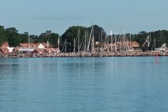 20220809_074427-scaled