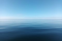 20220809_091236-scaled