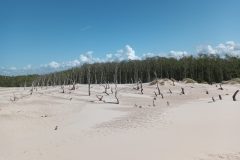 20220526_144837-scaled